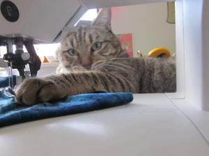 9503560031_c6f79f0c01_o