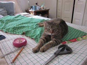 img_2121_7937670062_o